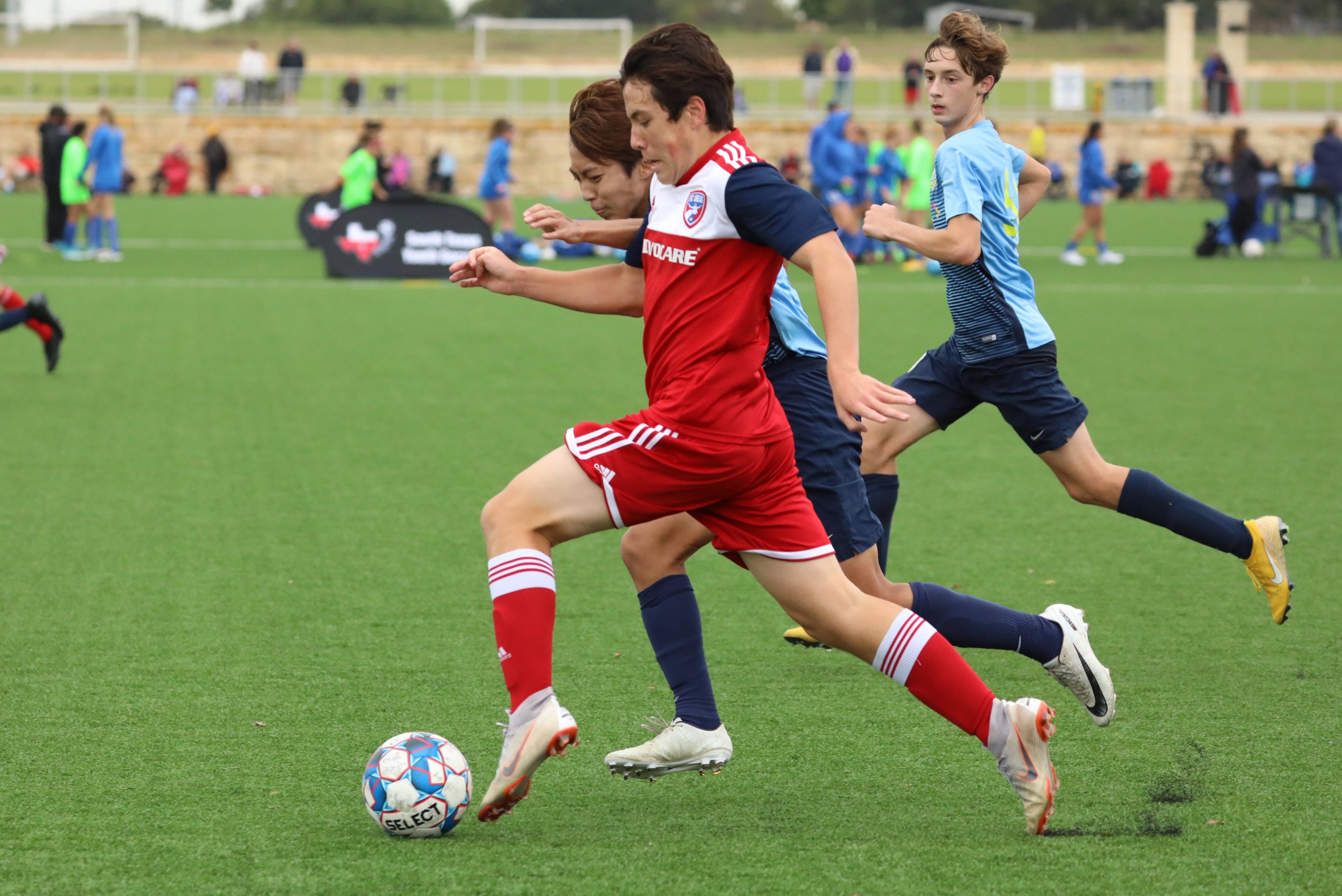 北京男篮全 北京男篮全